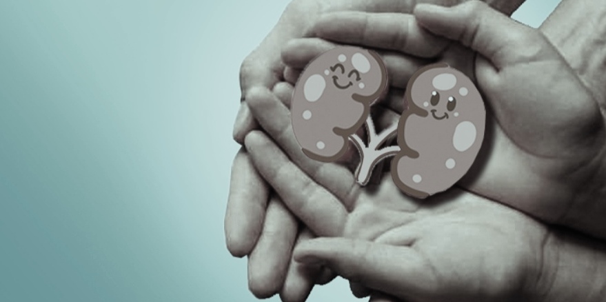 Gaya Hidup Merusak Ginjal